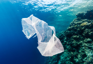 Las basuras marinas, un problema transversal